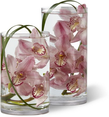 Tranquil Orchid Arrangement